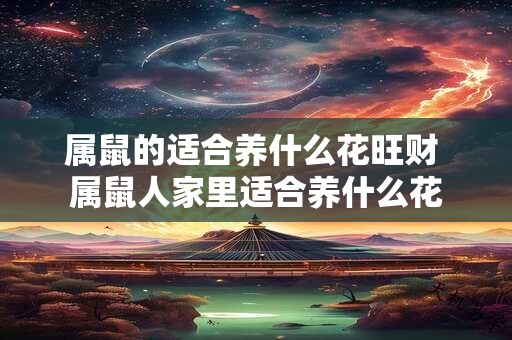 属鼠的适合养什么花旺财 属鼠人家里适合养什么花