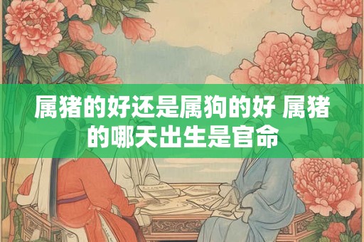 属猪的好还是属狗的好 属猪的哪天出生是官命 属猪的好还是属狗的好 属猪的哪天出生是官命
