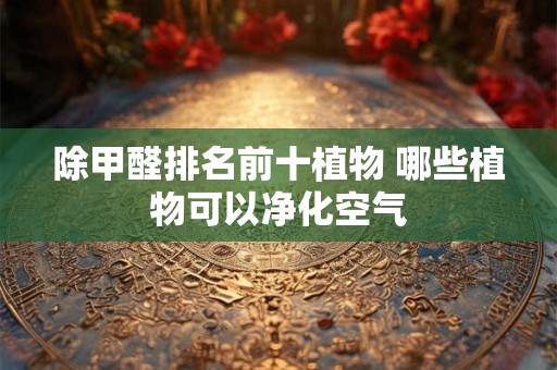 除甲醛排名前十植物 哪些植物可以净化空气 除甲醛排名前十植物 哪些植物可以净化空气