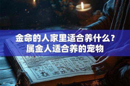 金命的人家里适合养什么?属金人适合养的宠物 金命的人家里适合养什么?属金人适合养的宠物