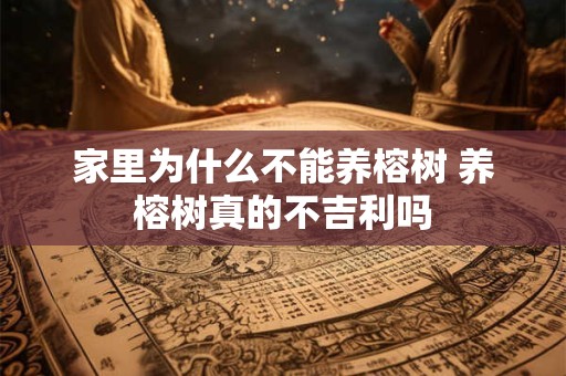 家里为什么不能养榕树 养榕树真的不吉利吗