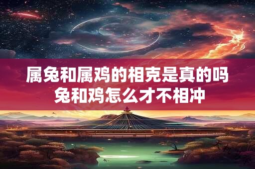 属兔和属鸡的相克是真的吗 兔和鸡怎么才不相冲