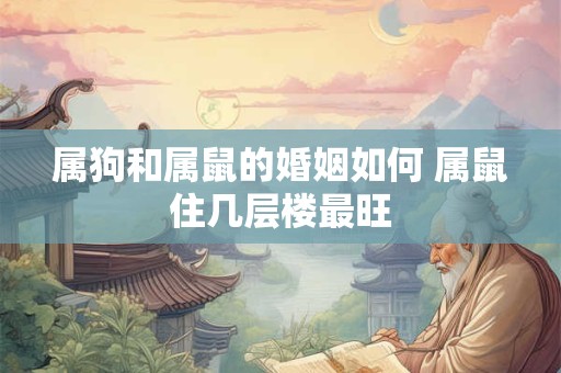 属狗和属鼠的婚姻如何 属鼠住几层楼最旺