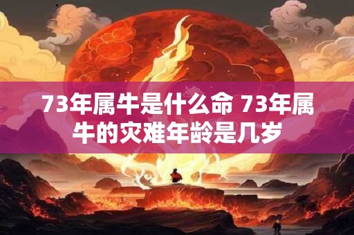 73年属牛是什么命 73年属牛的灾难年龄是几岁 73年属牛是什么命 73年属牛的灾难年龄是几岁