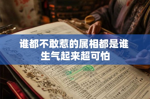谁都不敢惹的属相都是谁 生气起来超可怕