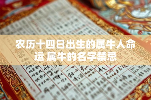 农历十四日出生的属牛人命运 属牛的名字禁忌