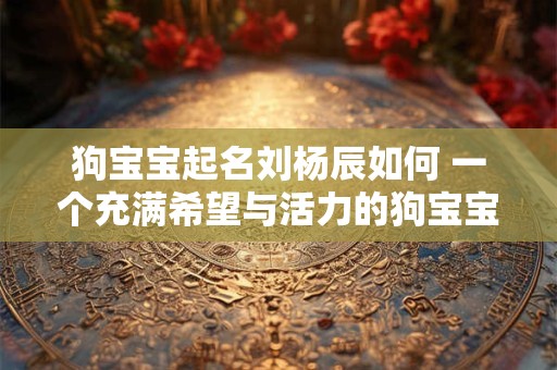 狗宝宝起名刘杨辰如何 一个充满希望与活力的狗宝宝名字 狗宝宝起名刘杨辰如何 一个充满希望与活力的狗宝宝名字