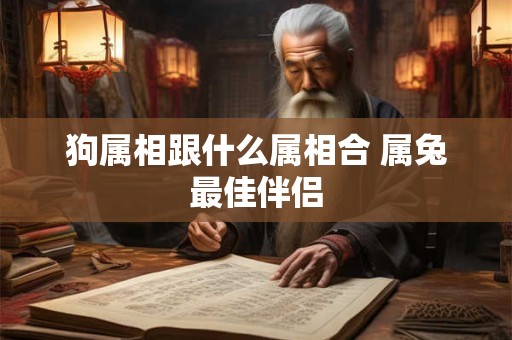 狗属相跟什么属相合 属兔最佳伴侣 狗属相跟什么属相合 属兔最佳伴侣