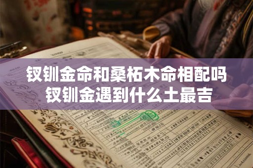 钗钏金命和桑柘木命相配吗 钗钏金遇到什么土最吉 钗钏金命和桑柘木命相配吗 钗钏金遇到什么土最吉