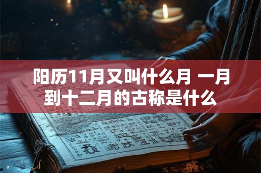 阳历11月又叫什么月 一月到十二月的古称是什么