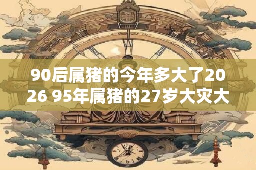 90后属猪的今年多大了2026 95年属猪的27岁大灾大难