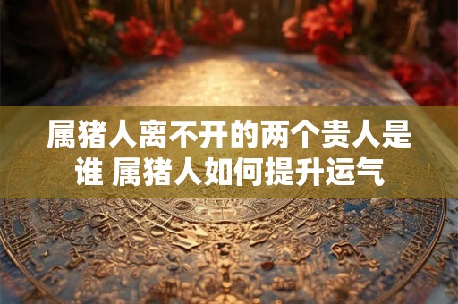 属猪人离不开的两个贵人是谁 属猪人如何提升运气