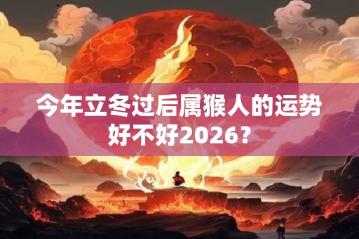 今年立冬过后属猴人的运势好不好2026？