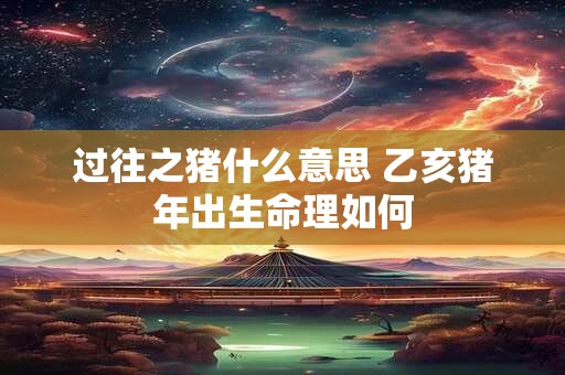 过往之猪什么意思 乙亥猪年出生命理如何