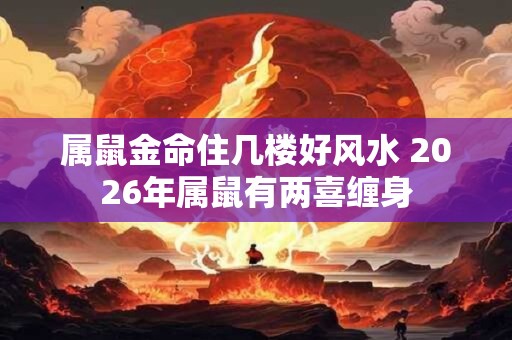 属鼠金命住几楼好风水 2026年属鼠有两喜缠身