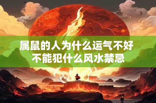 属鼠的人为什么运气不好 不能犯什么风水禁忌