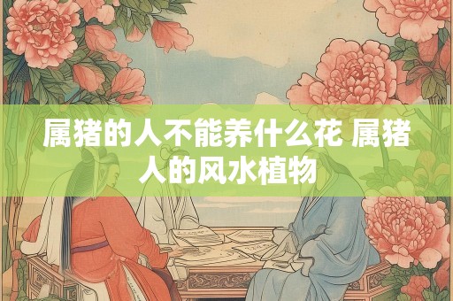 属猪的人不能养什么花 属猪人的风水植物
