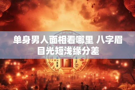 单身男人面相看哪里 八字眉目光短浅缘分差