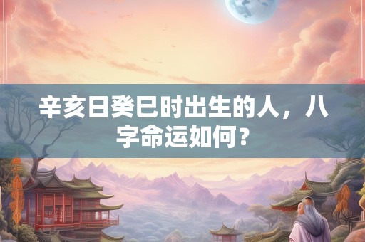 辛亥日癸巳时出生的人，八字命运如何？