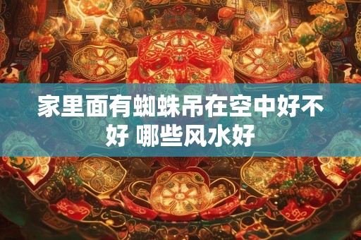 家里面有蜘蛛吊在空中好不好 哪些风水好