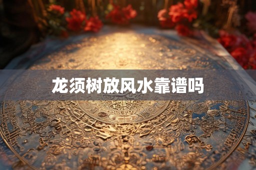 龙须树放风水靠谱吗