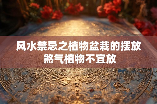 风水禁忌之植物盆栽的摆放 煞气植物不宜放