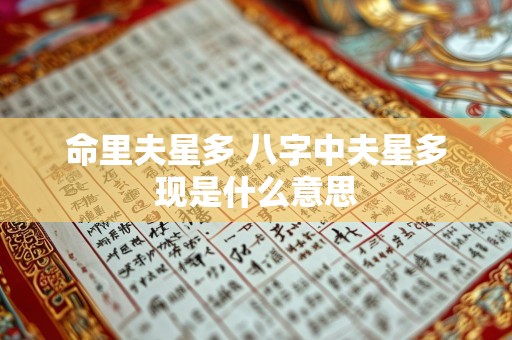 命里夫星多 八字中夫星多现是什么意思