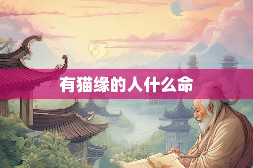 有猫缘的人什么命