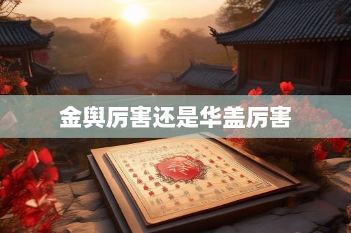 金舆厉害还是华盖厉害