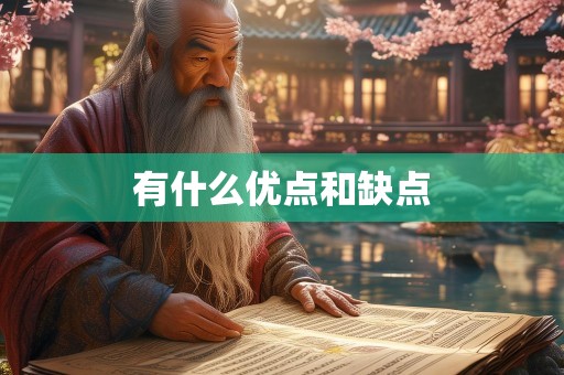 有什么优点和缺点