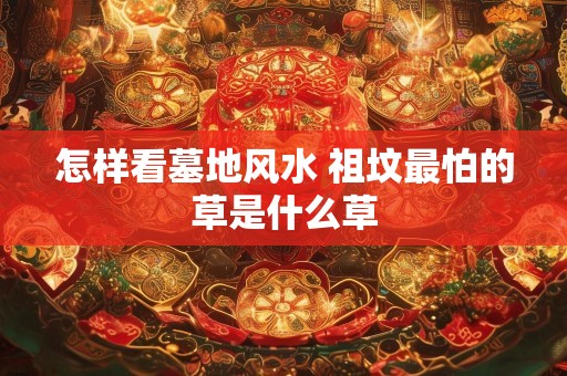 怎样看墓地风水 祖坟最怕的草是什么草
