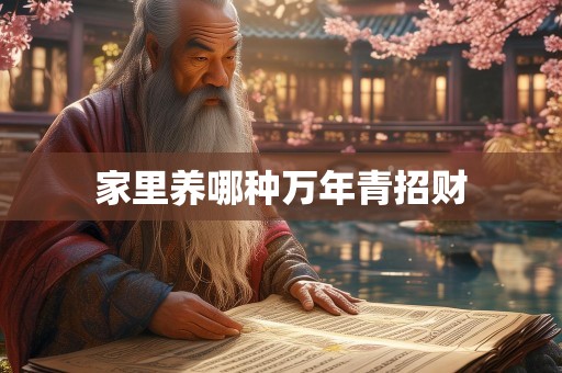 家里养哪种万年青招财