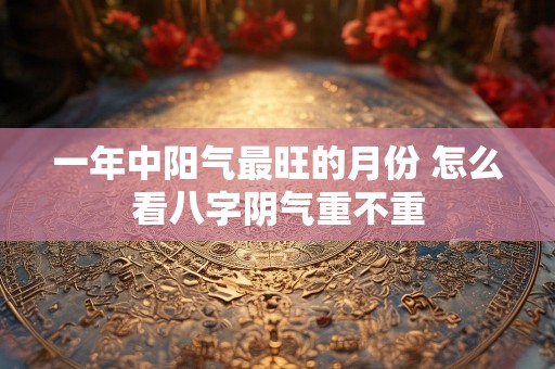 一年中阳气最旺的月份 怎么看八字阴气重不重