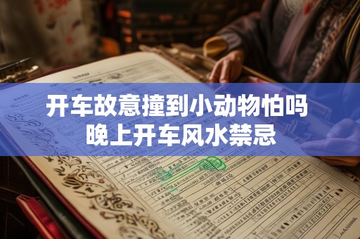 开车故意撞到小动物怕吗 晚上开车风水禁忌