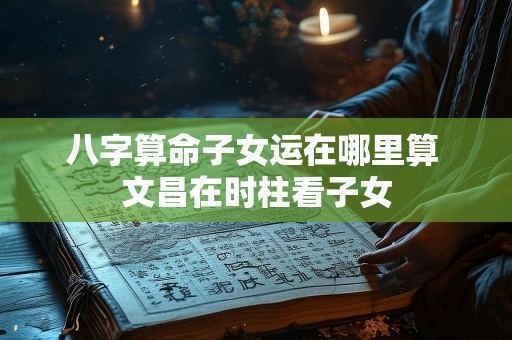 八字算命子女运在哪里算 文昌在时柱看子女