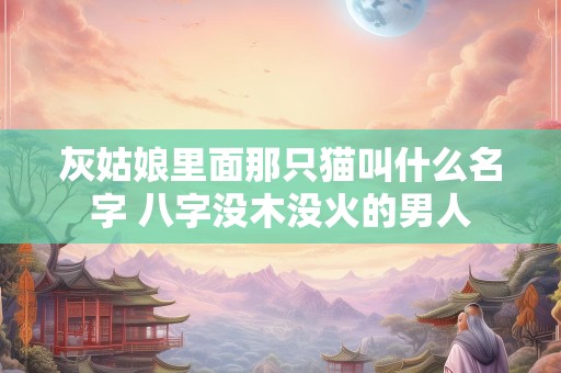 灰姑娘里面那只猫叫什么名字 八字没木没火的男人