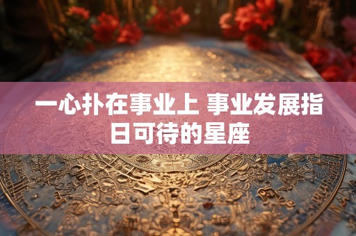一心扑在事业上 事业发展指日可待的星座