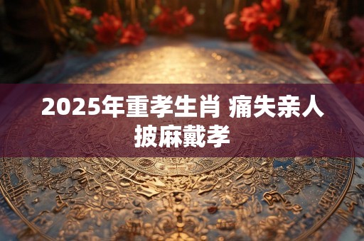 2025年重孝生肖 痛失亲人披麻戴孝