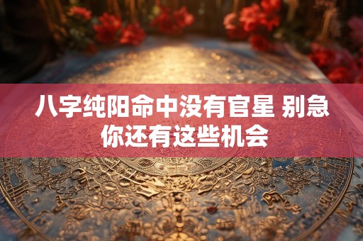 八字纯阳命中没有官星 别急 你还有这些机会