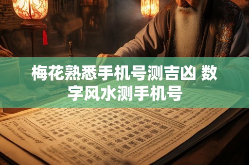 梅花熟悉手机号测吉凶 数字风水测手机号