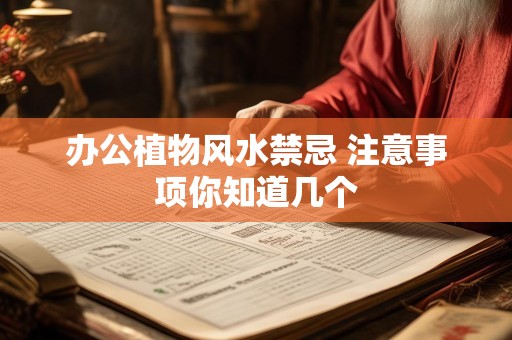办公植物风水禁忌 注意事项你知道几个