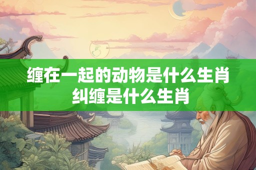 缠在一起的动物是什么生肖 纠缠是什么生肖