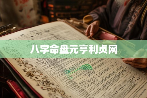 八字命盘元亨利贞网