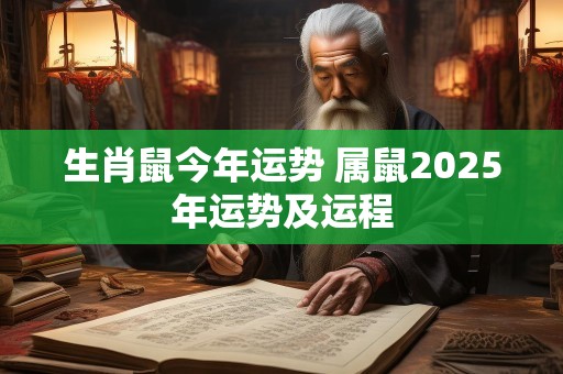 生肖鼠今年运势 属鼠2025年运势及运程