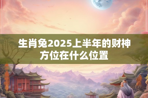 生肖兔2025上半年的财神方位在什么位置