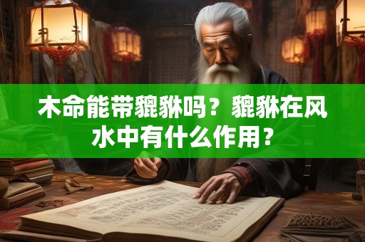 木命能带貔貅吗？貔貅在风水中有什么作用？