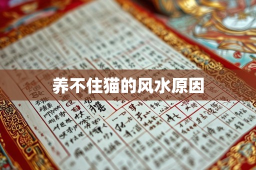 养不住猫的风水原因