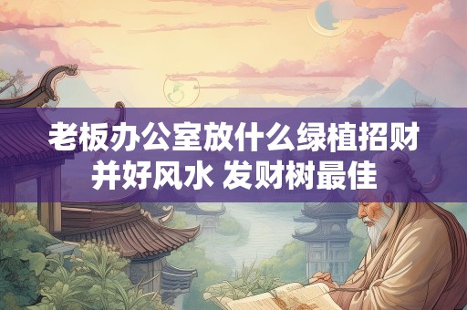 老板办公室放什么绿植招财并好风水 发财树最佳