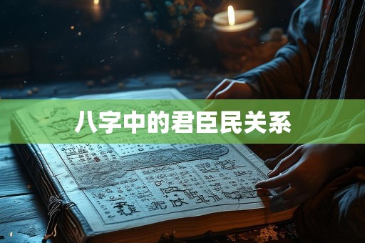 八字中的君臣民关系