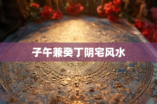 子午兼癸丁阴宅风水